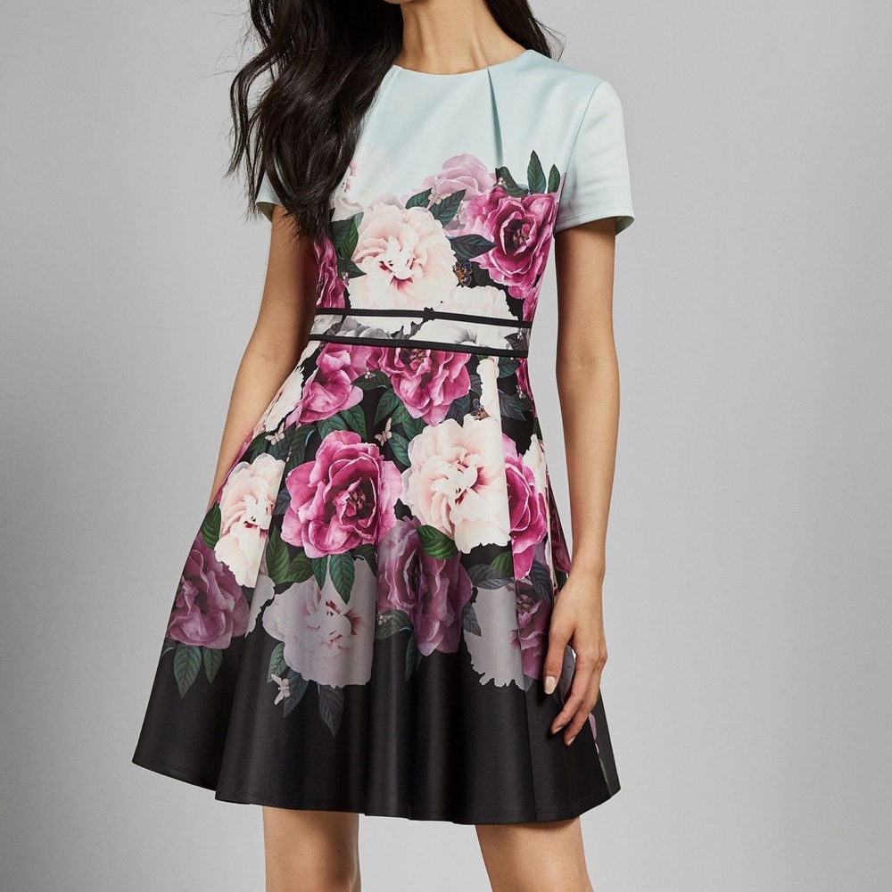 Ted Baker Wilmana Magnificent Skater Dress
